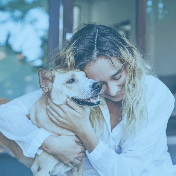 Pets - True Inovare